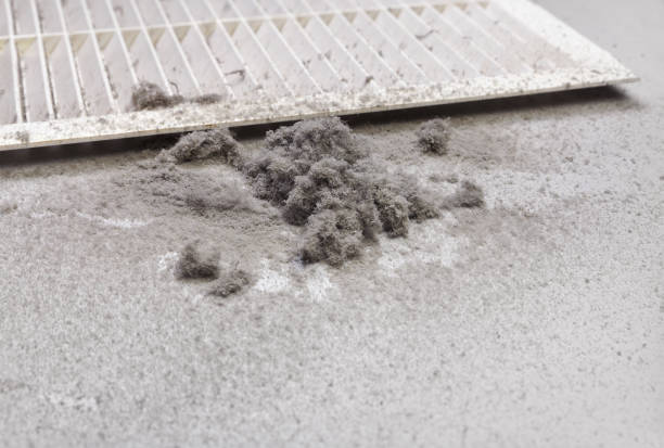 Best Affordable Duct Cleaning Services  in Palmyra, MO