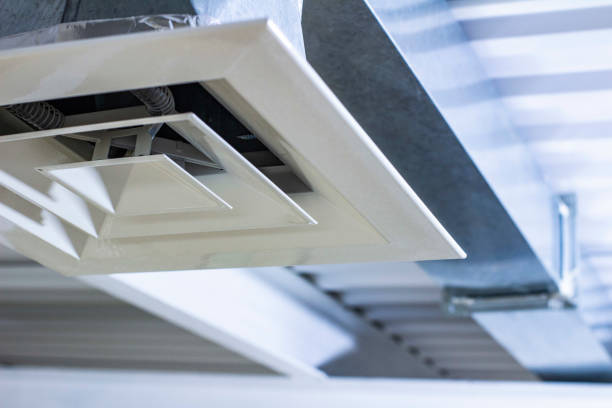 Best Local Air Duct Cleaning Services  in Palmyra, MO