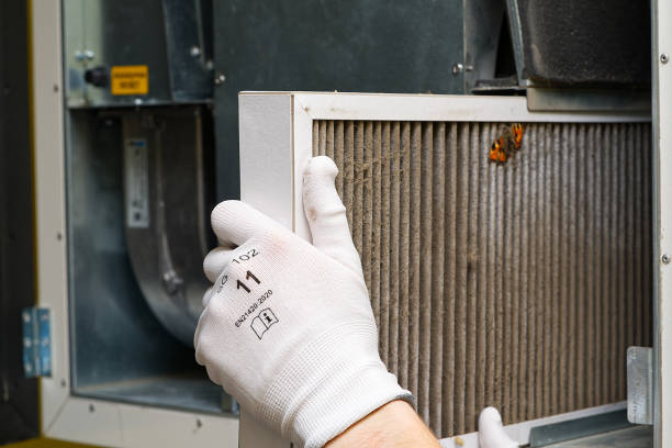 Best Air Duct Cleaning Near Me  in Palmyra, MO