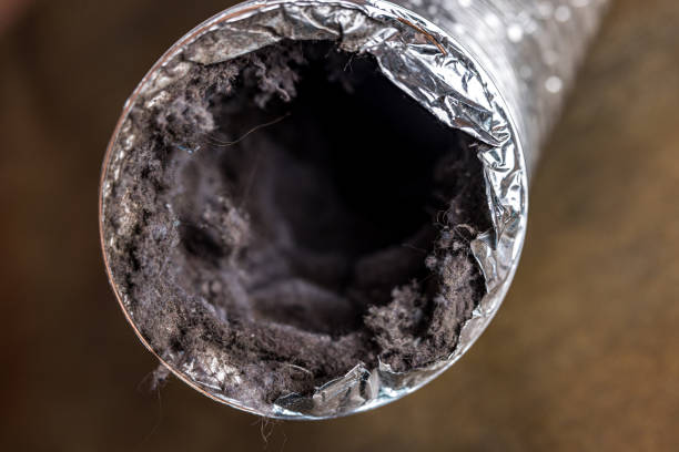 Best Air Duct Cleaning Near Me  in Palmyra, MO